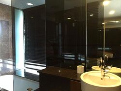 Newton Suites (D11), Apartment #526842851
